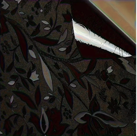 Decoratief | Premium | Statisch| Black Flower